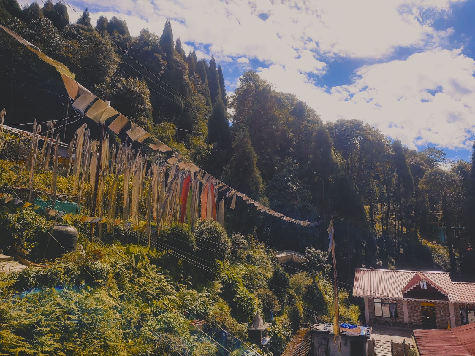 Roshni Home Stay and its garden at dawn in Sonada, Darjeeling, with the hills behind